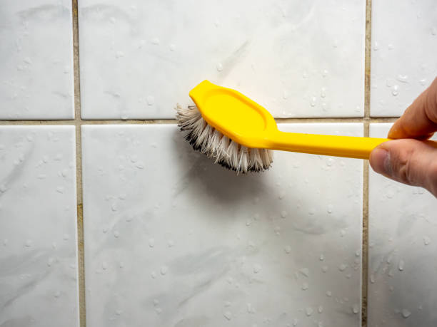 Office Mold Removal Services in Bismarck, ND